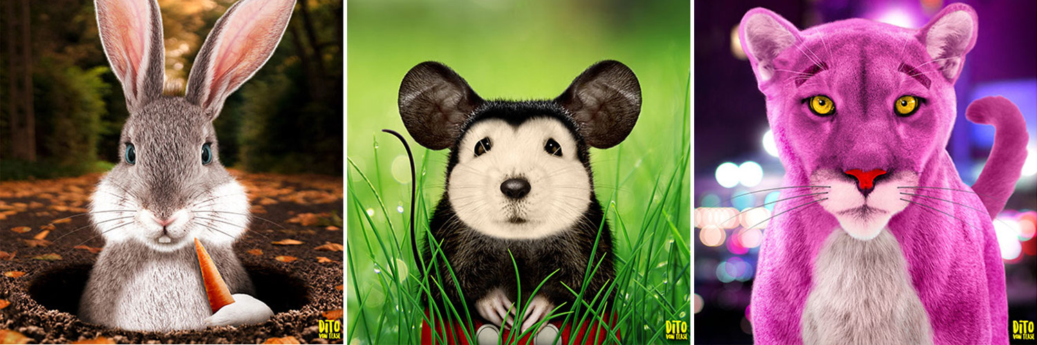 What Would Animal Cartoon Characters Look Like in Real Life? - Joyenergizer